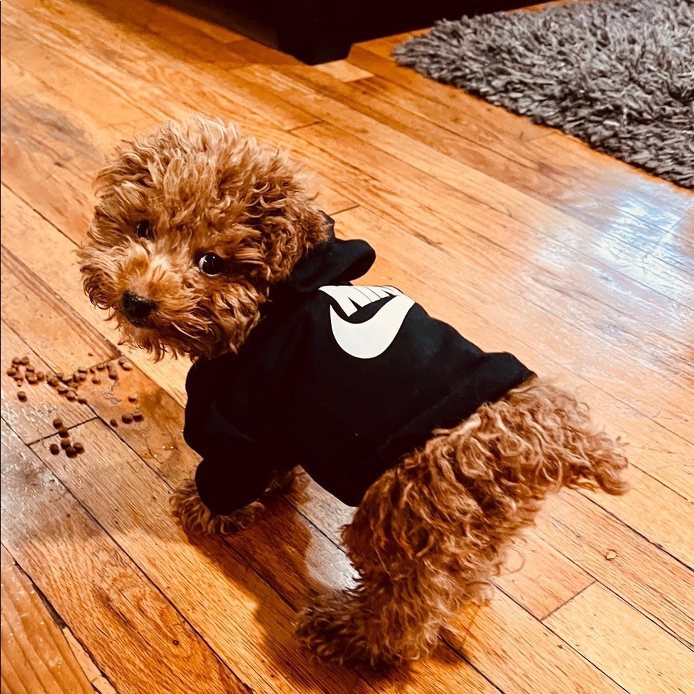Puppy Sweatshirt